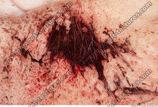 Photo Textures of RAW Pork Meat